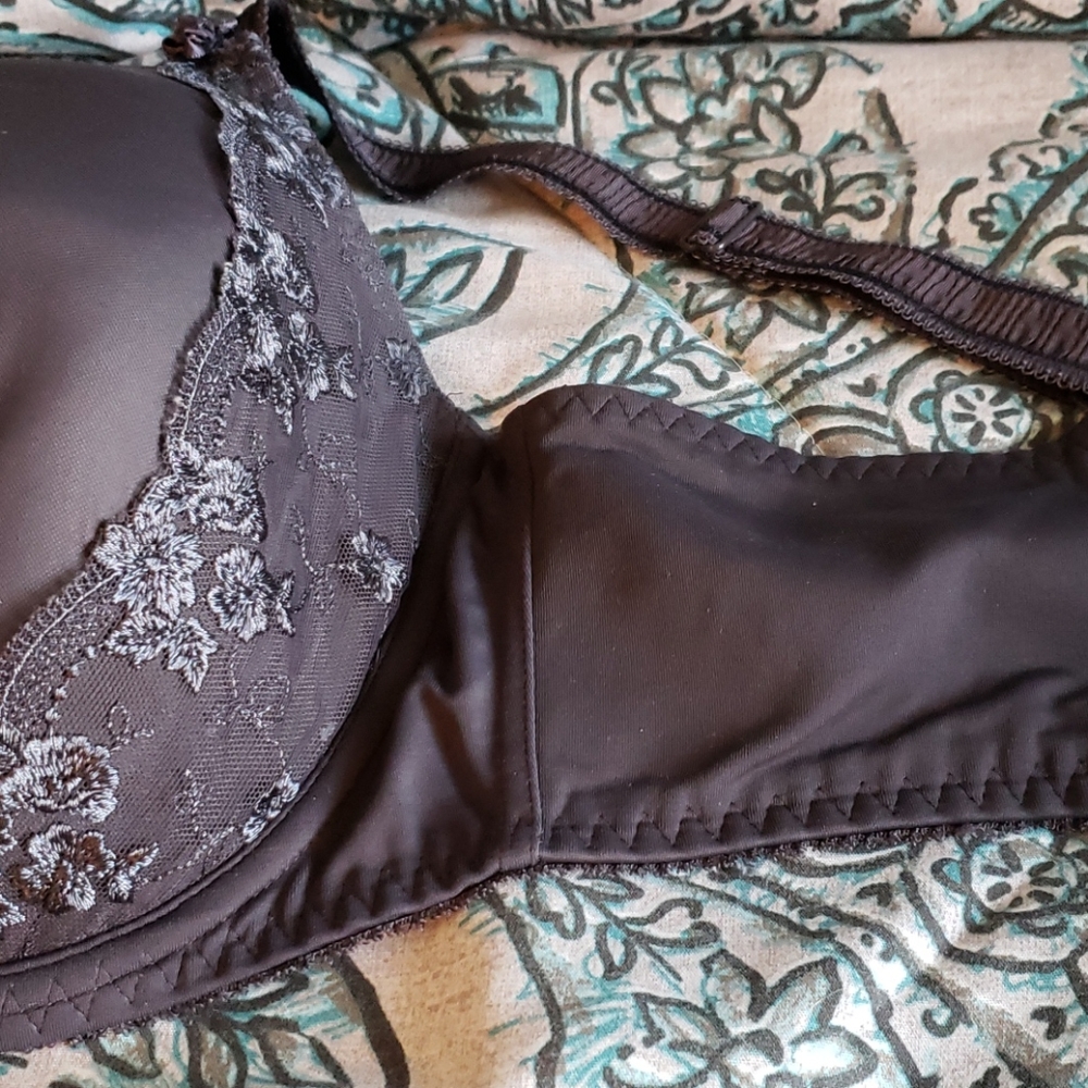 Full Coverage Bra - Picture 2 of 3